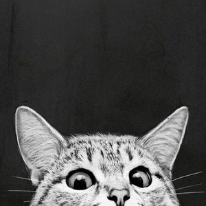 Meet your Posher, Weird